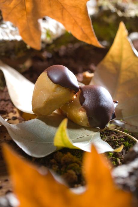 VIVIR LAS TRADICIONES… NUESTRAS Y LAS DE MÁS ALLÁ.