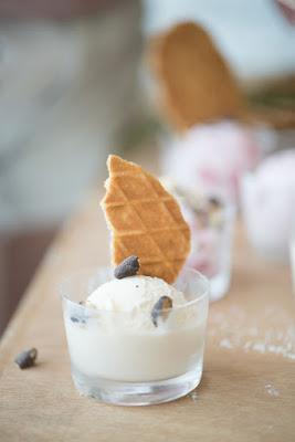 EN TÚ FIESTA ME COLÉ...