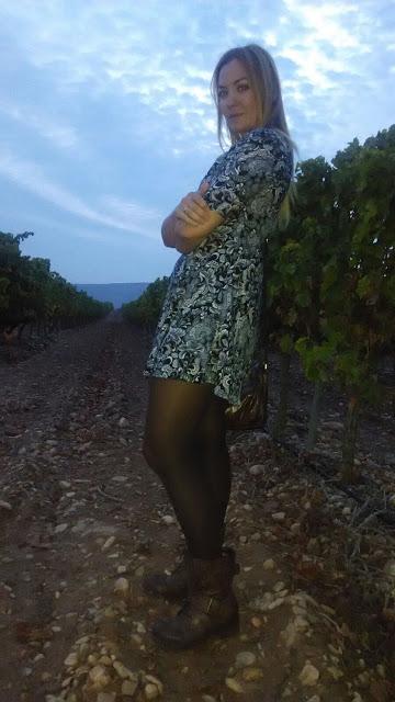 ENTRE VIÑEDOS