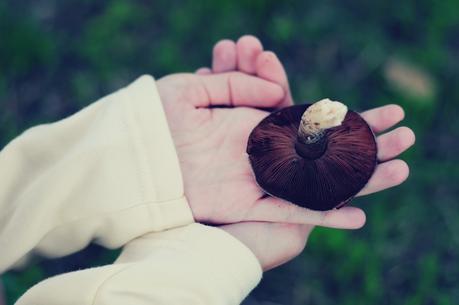 COLORES CLAROS EN OTOÑO