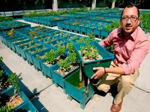 Negocios Verdes como opción de un negocio rentable Negocios Verdes como opción de un negocio rentable