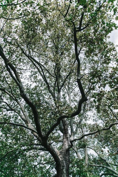 Double_Denim-Sandro_Paris-Leopard_Jumper-Sneakers-Vintage_Levis-Cropped_Trousers-Outfit-Street_Style-18