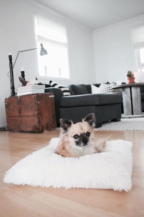 Una casa REAL, BONITA y  ESTILOSA en Noruega!