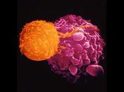aprueba virus guerra contra Cancer [ENG]