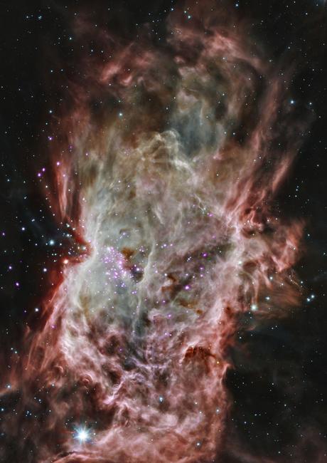 Chandra penetra en la nebulosa de la LLama