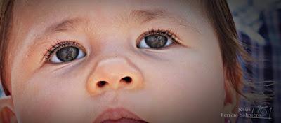 Fotos de la Romería, de Jesús Ferrera Salguero