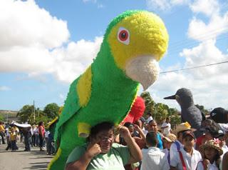 Este domingo 8 de noviembre se celebra el XXIII Festival de la Cotorra Margariteña