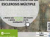 Buen profesor buen científico