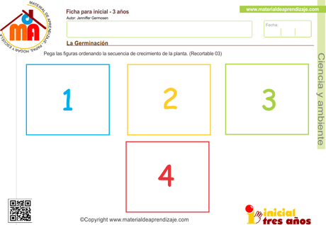 La germinación – Ciencia y ambiente 3 años