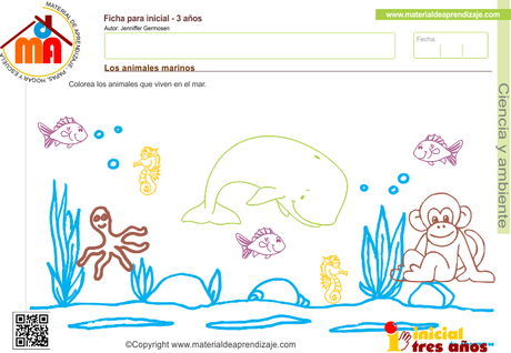 Los animales marinos 2 – Ciencia y ambiente 3 años