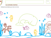 animales marinos Ciencia ambiente años