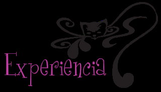 The Vampire's Kiss by Veronica Wolff (reseña)