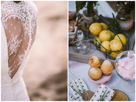 Editorial Rosa Clará 2016