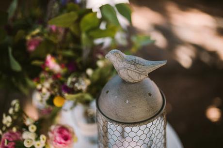 Editorial Rosa Clará 2016