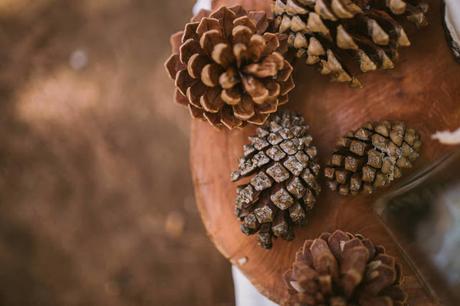 Editorial Rosa Clará 2016