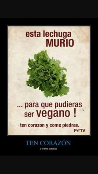 La OMS y la CARNE (II)