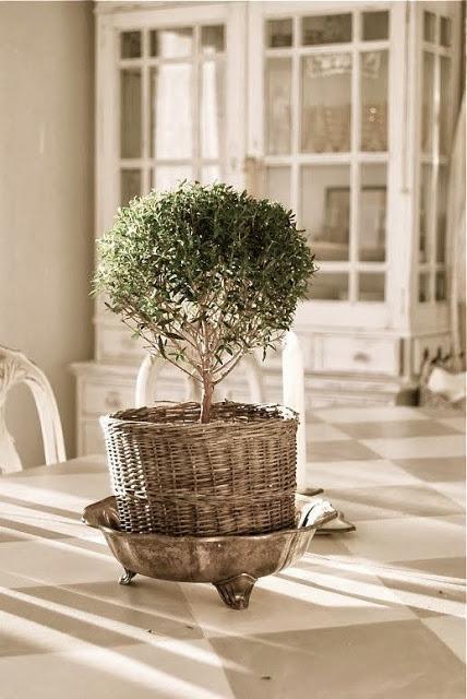 Aquel macetero de la abuela...