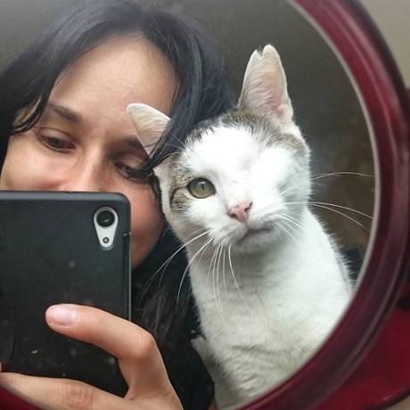 Gato tuerto rescatado de la calle