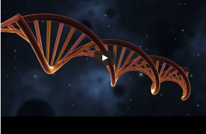 screenshot-www.genengnews.com 2015-11-02 00-09-28