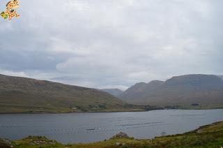 Irlanda en 10 días (II): región de Connemara y Galway