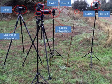 Macro fotografía making-of III