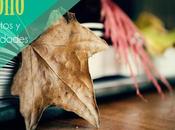 Recursos: Cuentos sobre otoño propuesta actividades para Educación Infantil