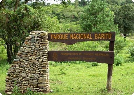 Parque Nacional Baritú, donde la naturaleza virgen se regocija en sus ejemplares únicos.