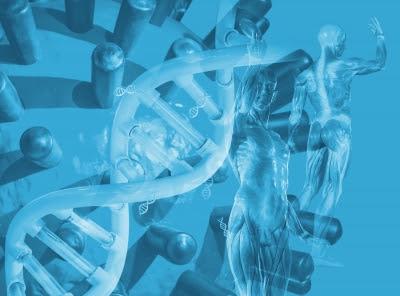 suplementacion-de-ATP-trifosfato-de-adenosina