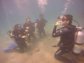 Buceo en Chichiriviche de La Costa