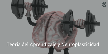 neuroplasticidad