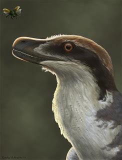 F.A.Q. Dakotaraptor steini