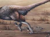 F.A.Q. Dakotaraptor steini