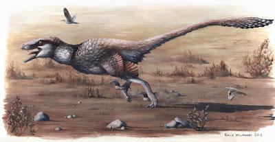 F.A.Q. Dakotaraptor steini