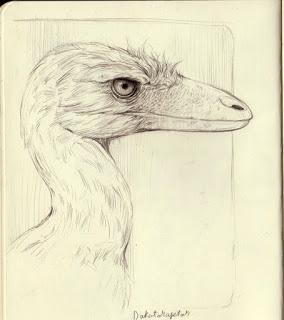 F.A.Q. Dakotaraptor steini