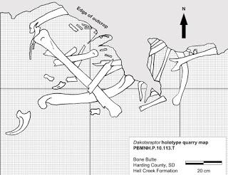 F.A.Q. Dakotaraptor steini