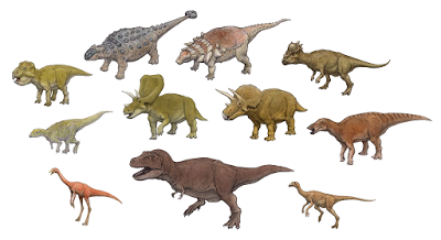 F.A.Q. Dakotaraptor steini