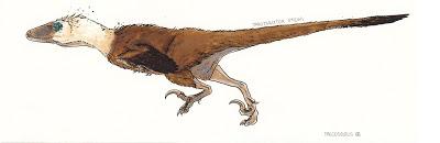 F.A.Q. Dakotaraptor steini