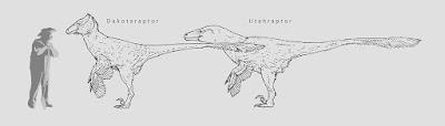 F.A.Q. Dakotaraptor steini