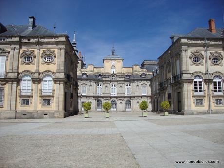  visita la granja 2015