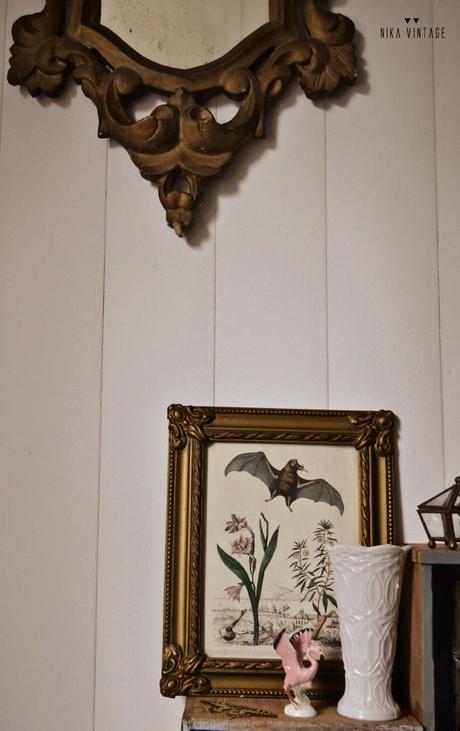 vintage, cajones madera, cajón antiguo, decoración, grabados ciencias naturales, botánica