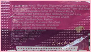 DR VAN DER HOOG, Funmaskers, Big Fun Bubblegum