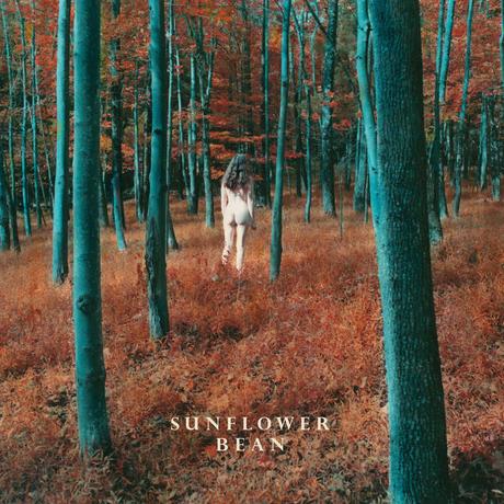 Sunflower Bean – I Hear Voices / The Stalker (2015)
