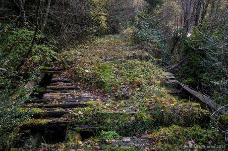 El camino equivocado