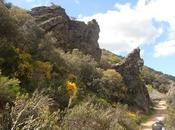 Ruta Parque Cabañeros