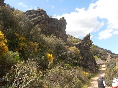Ruta por el Parque de Cabañeros