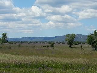 Ruta por el Parque de Cabañeros