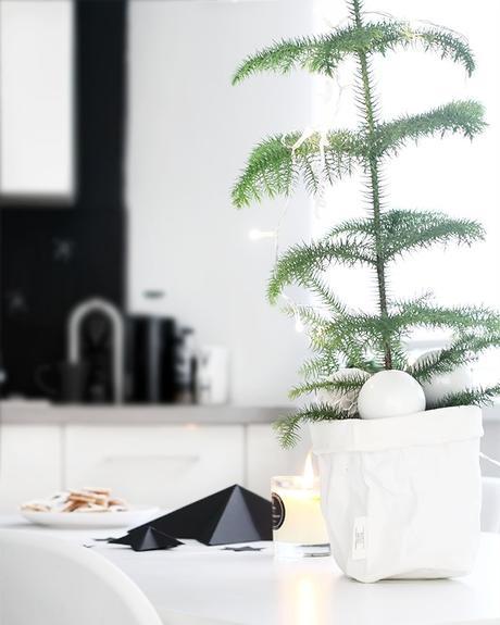 10 Mejores plantas de interior