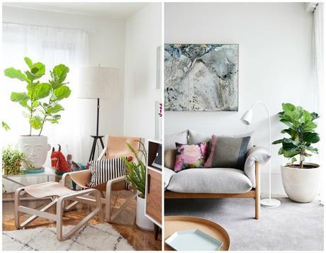 10 Mejores plantas de interior