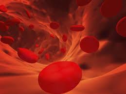 Los glóbulos blancos ‘escanean’ la sangre para provocar ictus