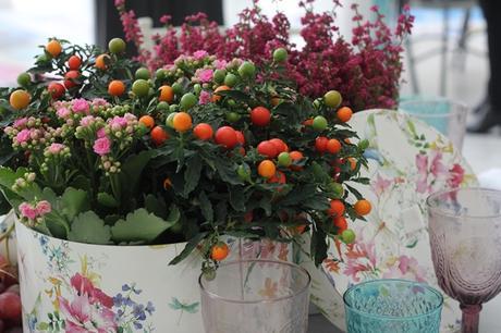 a mesa puesta amesapuesta_dryb4